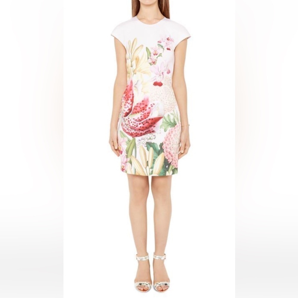 Ted Baker Midi Sleeveless Dress Blush Floral Ponte Lotus Rose Gold Zip S 2. D5